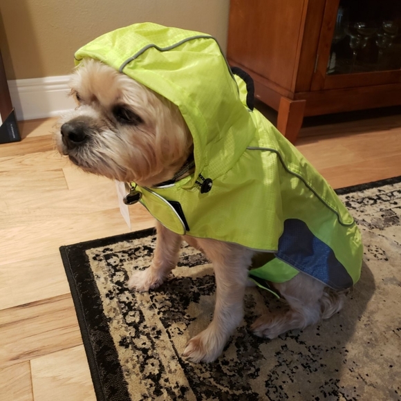 ❤️😍 Host Pick! 🐕❤️  Rain Jacket With Reflective Accents L - Picture 3 of 12